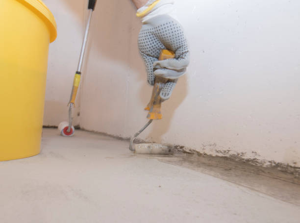 Best Pest Exclusion Services  in Grayson Vley, AL